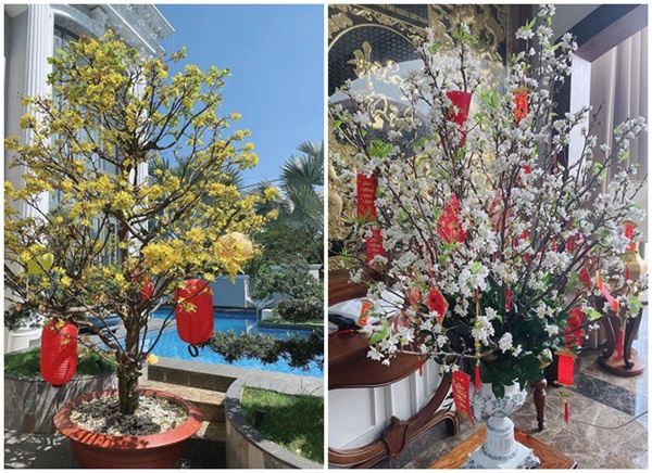 3 mỹ nhân lấy đại gia hơn tuổi: Nhìn cuộc sống trong biệt thự tiền tỷ khiến ai cũng mơ-14