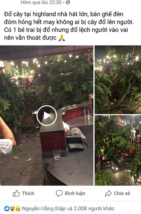 Hà Nội: Cành cây gãy trúng quán cà phê khiến nhiều người chạy tán loạn-1