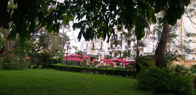 Hà Nội: Cành cây gãy trúng quán cà phê khiến nhiều người chạy tán loạn-4