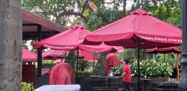 Hà Nội: Cành cây gãy trúng quán cà phê khiến nhiều người chạy tán loạn-6