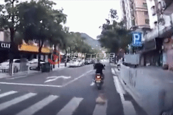 Người đàn ông đi xe máy kéo lê chú chó trên đường gây phẫn nộ