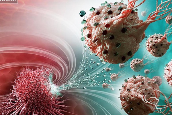 10 thực phẩm ngăn ngừa ung thư phổi hiệu quả-11