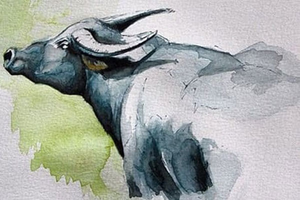 Phụ nữ thành đạt, giỏi giang đều sở hữu những nét tướng phú quý này-3