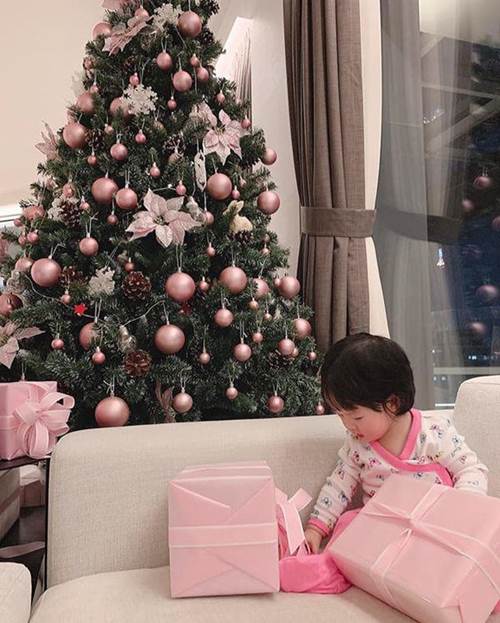Cùng lấy chồng siêu giàu: Biệt thự nhà Đặng Thu Thảo vẫn thua cung điện” dát vàng của Lan khuê-8