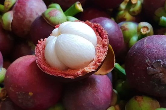 Măng cụt vào mùa, và đây là những mẹo chọn măng cụt 10 trái ngon cả 10