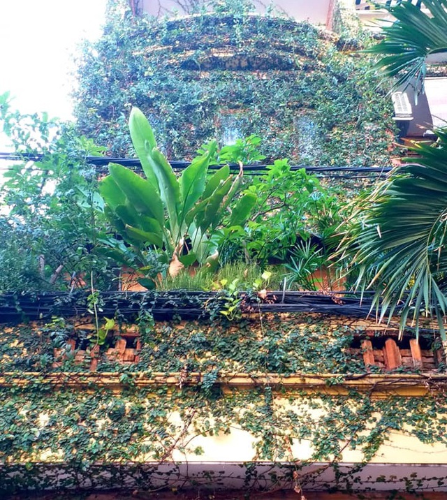 Vườn cây, ao cá đẹp mê trên sân thượng tầng 4 của ông chủ quán phở Sài Gòn-2