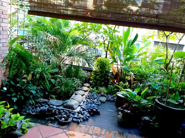 Vườn cây, ao cá đẹp mê trên sân thượng tầng 4 của ông chủ quán phở Sài Gòn-3