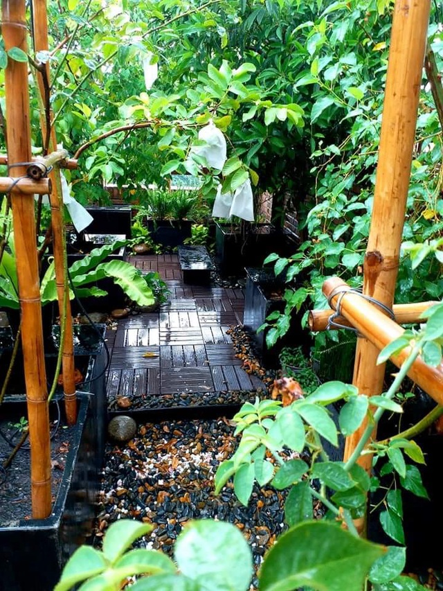 Vườn cây, ao cá đẹp mê trên sân thượng tầng 4 của ông chủ quán phở Sài Gòn-4