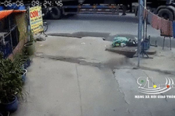 Nhánh cây bị gió thổi bay, quật ngã người phụ nữ đi xe máy-1