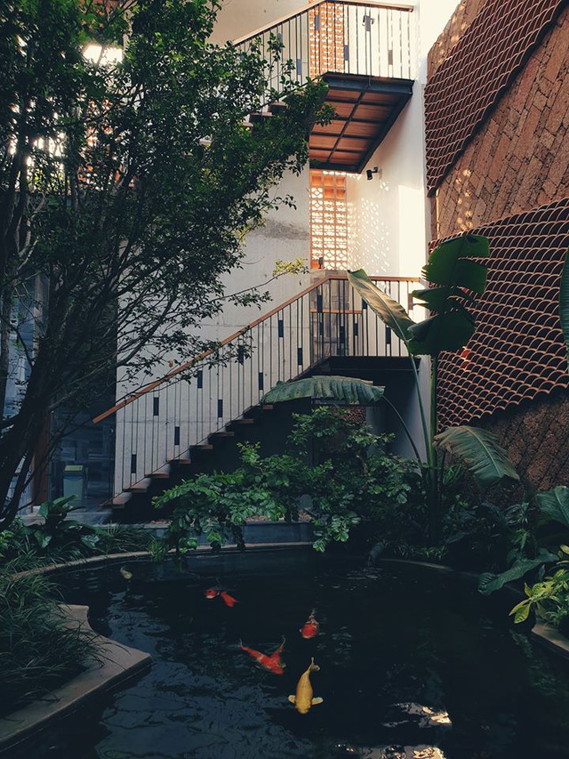 Gia đình trẻ ở Đà Nẵng làm vườn, nuôi cá trong biệt thự giữa phố-2