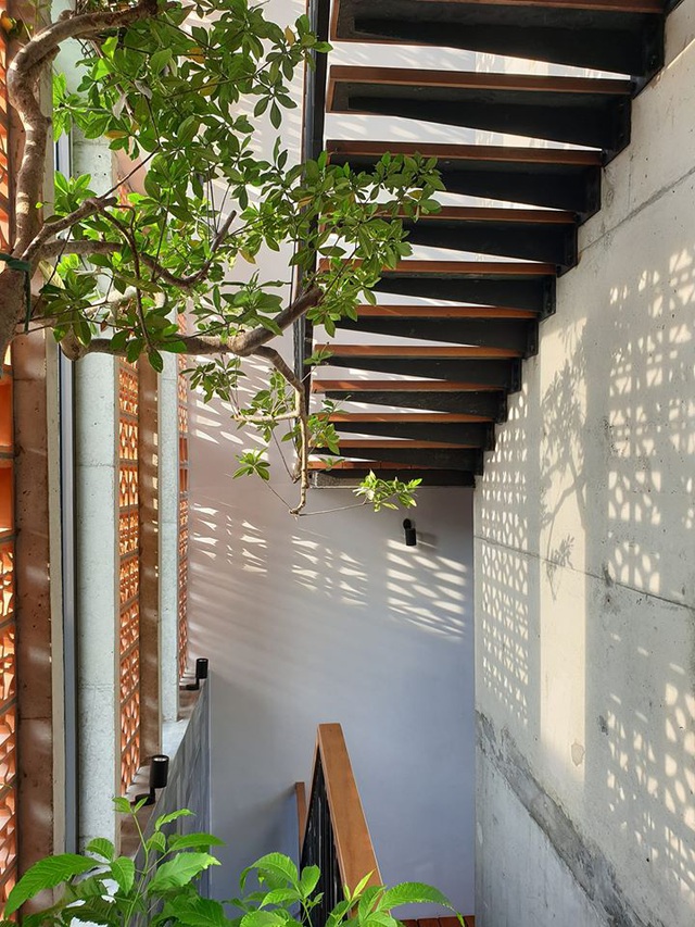 Gia đình trẻ ở Đà Nẵng làm vườn, nuôi cá trong biệt thự giữa phố-4