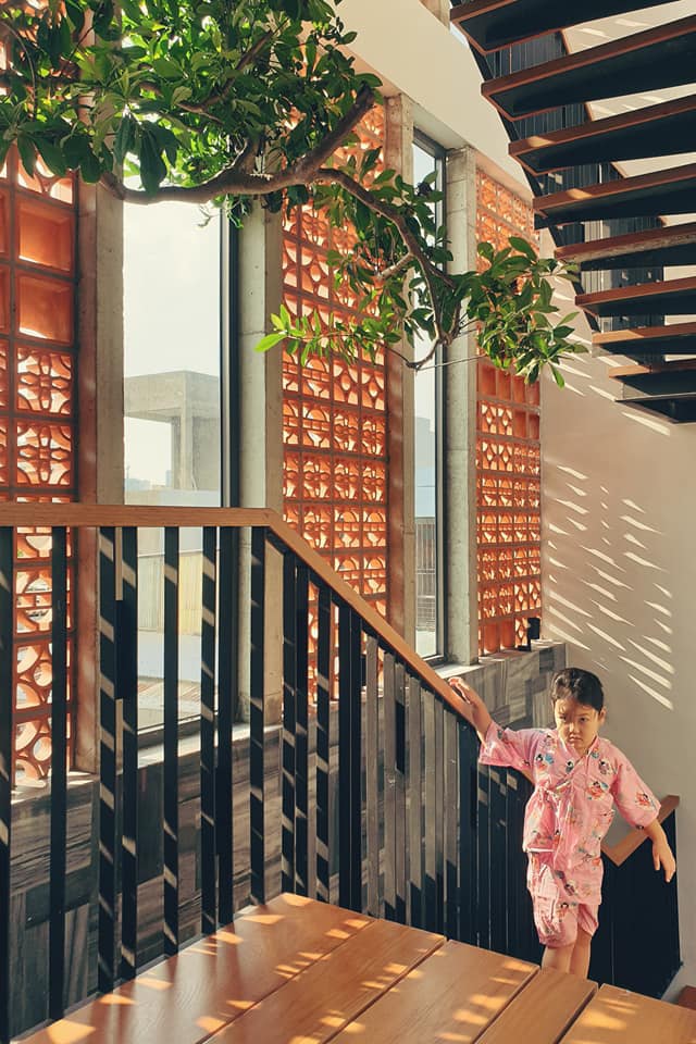 Gia đình trẻ ở Đà Nẵng làm vườn, nuôi cá trong biệt thự giữa phố-11