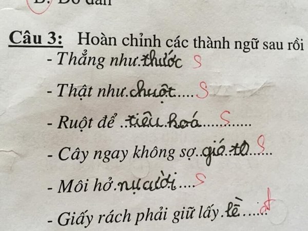 Cười chảy nước mắt với bài tập tiếng Việt của học sinh tiểu học, toàn những gương mặt vàng trong làng múa bút đặt câu-1