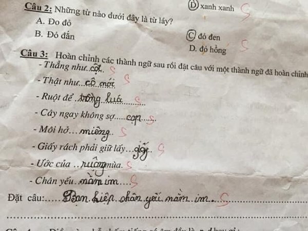 Cười chảy nước mắt với bài tập tiếng Việt của học sinh tiểu học, toàn những gương mặt vàng trong làng múa bút đặt câu-2