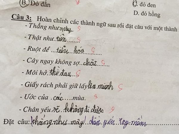 Cười chảy nước mắt với bài tập tiếng Việt của học sinh tiểu học, toàn những gương mặt vàng trong làng múa bút đặt câu-3