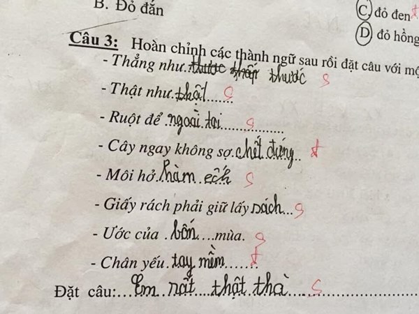 Cười chảy nước mắt với bài tập tiếng Việt của học sinh tiểu học, toàn những gương mặt vàng trong làng múa bút đặt câu-4