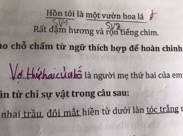 Cười chảy nước mắt với bài tập tiếng Việt của học sinh tiểu học, toàn những gương mặt vàng trong làng múa bút đặt câu-6