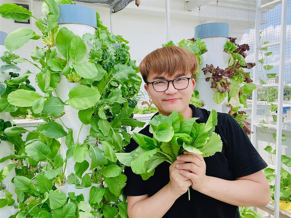 Ngắm vườn rau và nấm sạch do chính tay MC Đại Nghĩa tự trồng trên sân thượng nhà mình ở quận 7, TP HCM-1