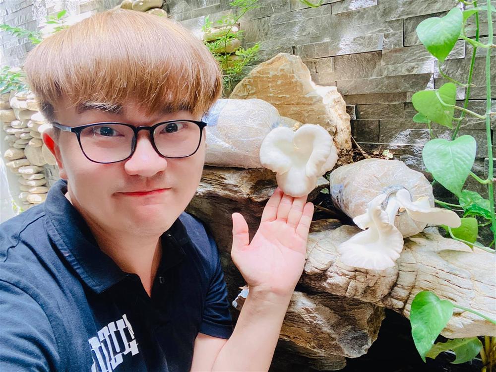 Ngắm vườn rau và nấm sạch do chính tay MC Đại Nghĩa tự trồng trên sân thượng nhà mình ở quận 7, TP HCM-12