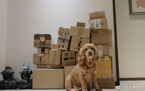 Vợ chủ tịch Taobao liên tục khoe hơn 100 đơn mua hàng sau khi tố chồng ngoại tình khiến nhiều người ủng hộ thất vọng-2