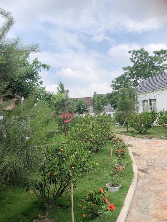 Mê mẩn khu vườn ngập tràn hoa lá của Khánh Thi, Duy Nam, Mai Ngọc-6
