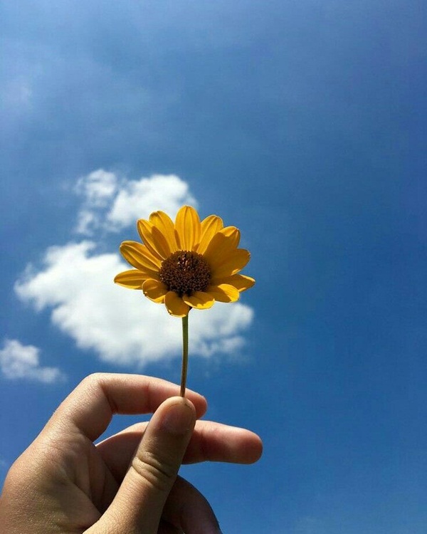 Tử vi thứ Tư ngày 10/6/2020 của 12 con giáp: Dần thành công vang dội, Tý cần bình tĩnh hơn-4