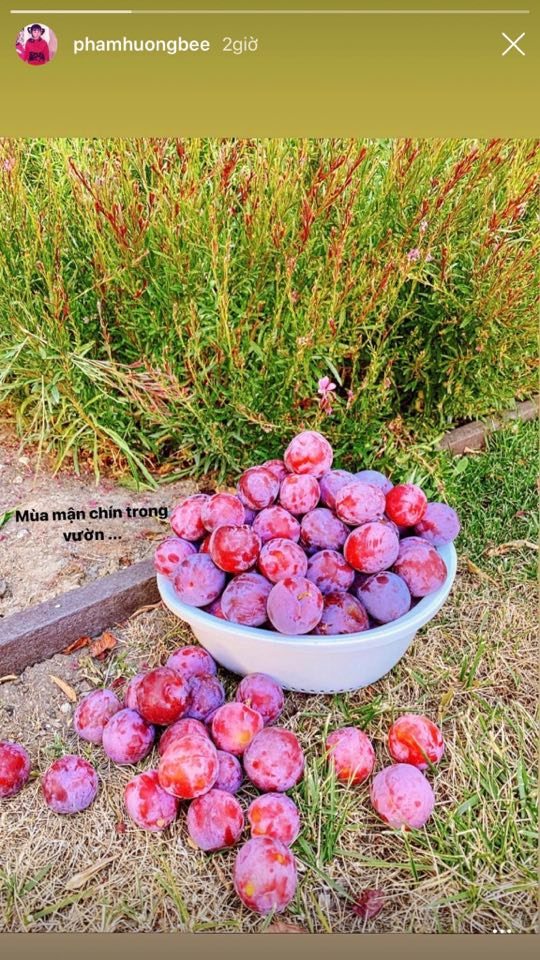 Phạm Hương có động thái bất ngờ sau 2 tháng ở ẩn vì bị nghi mang thai-1