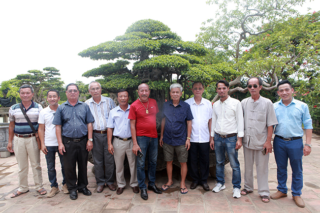 Đại gia Hà Nội chi 24 tỷ mua 2 cây sanh danh tiếng bậc nhất-1