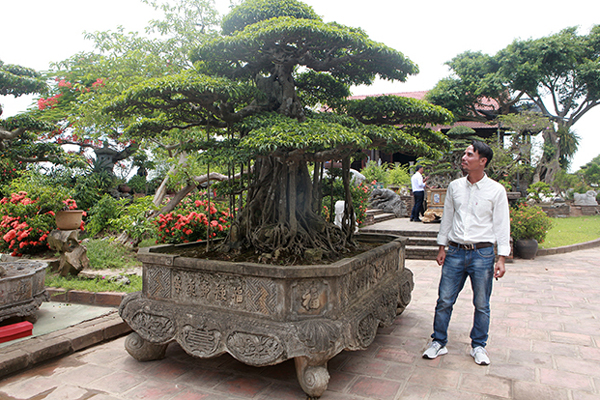 Báu vật 7 tỷ ở Hà Nội chưa công khai khiến dân chơi tò mò-14