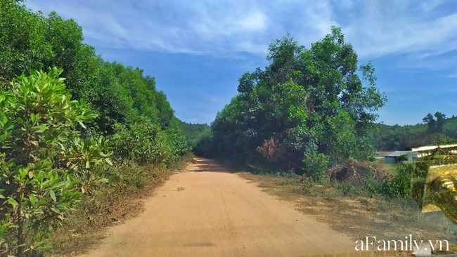 Vụ bé trai 5 tuổi bị trói 2 tay tử vong trong căn nhà hoang: Triệu tập thêm một nam sinh lớp 11-1