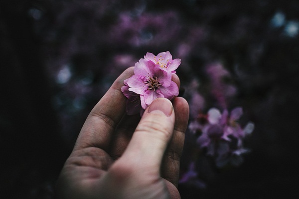 Tử vi thứ 5 ngày 11/6/2020 của 12 con giáp: Thân sức khỏe sa sút, Dậu tình duyên tốt đẹp-6