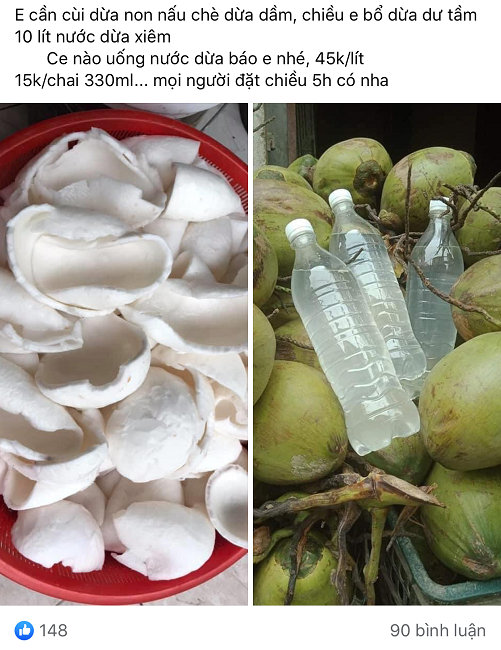 Nước dừa có giá 20.000 đồng/lít, ngày bán 500 chai: Nguồn gốc ở đâu?-5