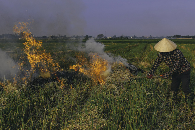 Người dân Hà Nội đốt rơm rạ khói bay mù mịt giữa cái nóng gần 40 độ, khiến không khí ngày càng ô nhiễm-2