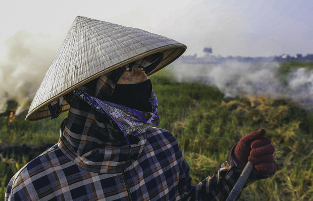 Người dân Hà Nội đốt rơm rạ khói bay mù mịt giữa cái nóng gần 40 độ, khiến không khí ngày càng ô nhiễm-4