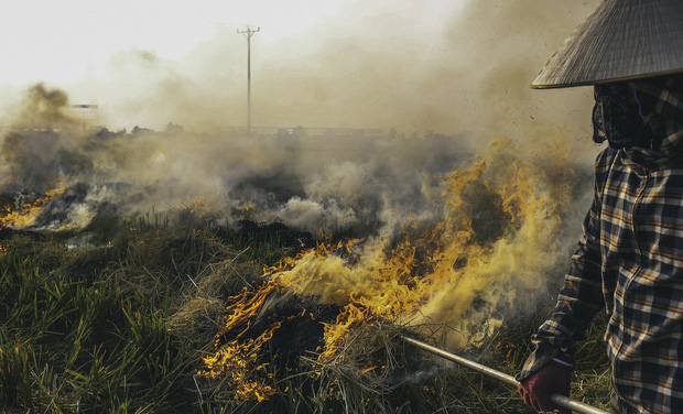 Người dân Hà Nội đốt rơm rạ khói bay mù mịt giữa cái nóng gần 40 độ, khiến không khí ngày càng ô nhiễm-5