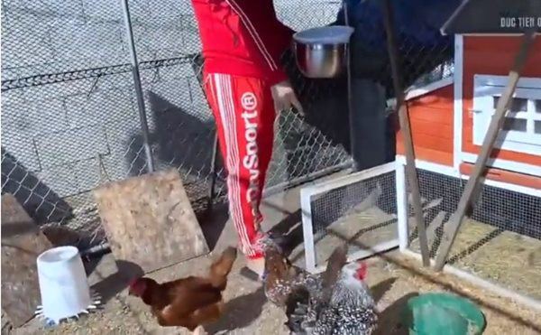 Siêu mẫu Đức Tiến sang Mỹ với vợ hoa hậu, ở nhà 16 tỷ vẫn tự nuôi gà, trồng cây-7