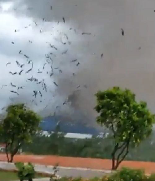 Hiện trường vụ sập nhà xưởng ở Vĩnh Phúc làm 3 người chết, 18 người bị thương-8