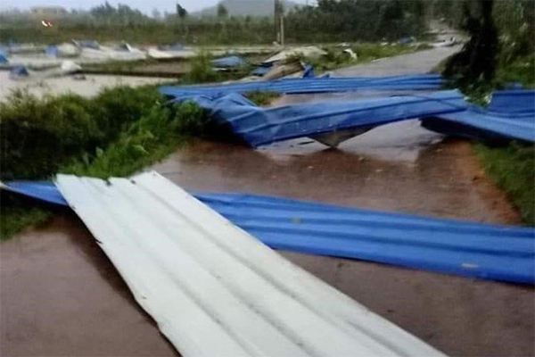 Tôi chỉ kịp chui xuống đống lá để cứu lấy mình, khi cơn lốc đi qua tôi đã nghĩ cả gia đình không còn ai sống sót-9