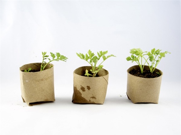 Tự trồng rau sạch mà không biết những mẹo làm vườn này thì quá phí-2