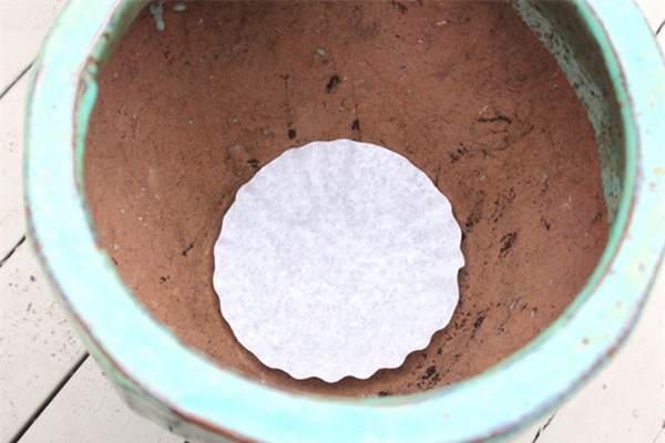 Tự trồng rau sạch mà không biết những mẹo làm vườn này thì quá phí-7