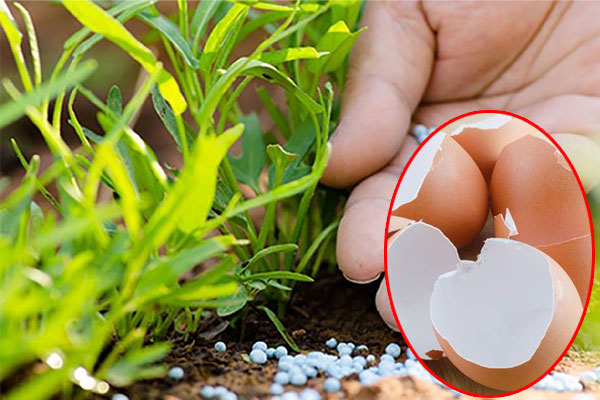 Mẹo trị bệnh ra mồ hôi tay cực đơn giản lại hiệu quả-2