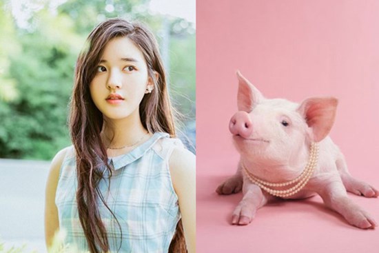 3 con giáp sinh ra sống trong nhung lụa nhưng lại vô cùng khiêm tốn, chân thành