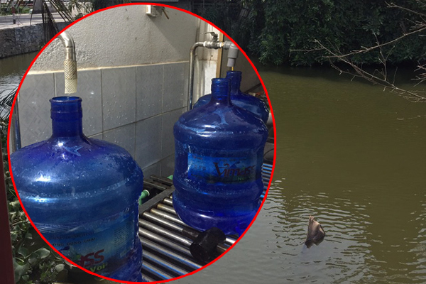 Bát nháo” nước uống đóng bình cung cấp trong trường học-2