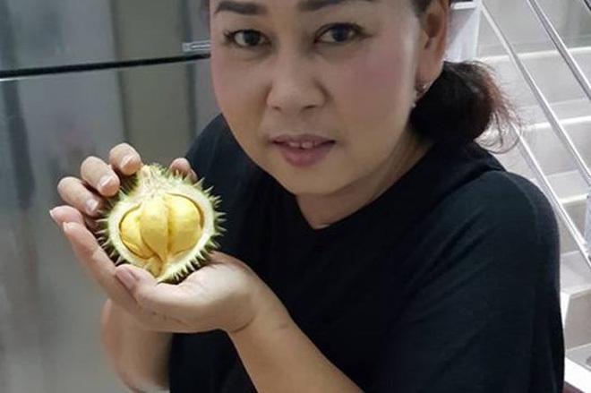 Thực hư sầu riêng mini Thái Lan, múi dày siêu ngon 50.000 đồng/quả-4