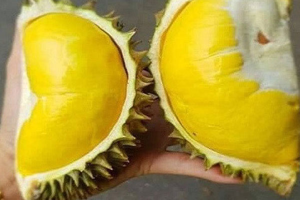 Đem xe tiền tỷ đi bán sầu rong, lời 2 triệu/ngày-4