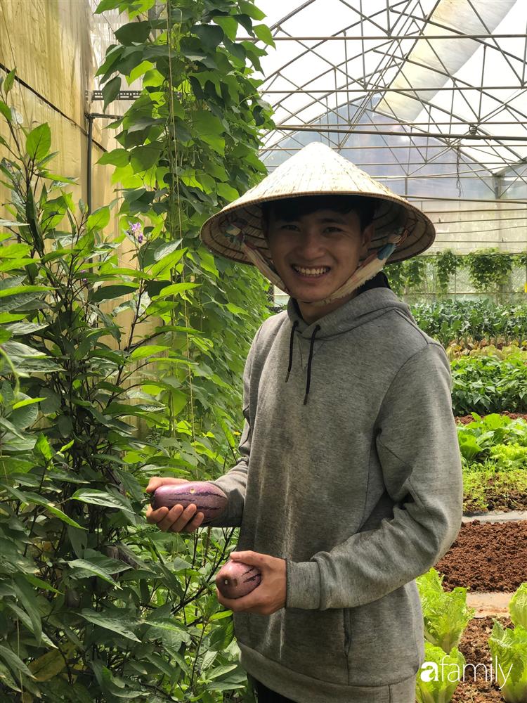 Rời thành phố cùng tương lai trở thành luật sư, chàng trai 9x về Đà Lạt gây dựng giấc mơ làm nông nghiệp sạch-3