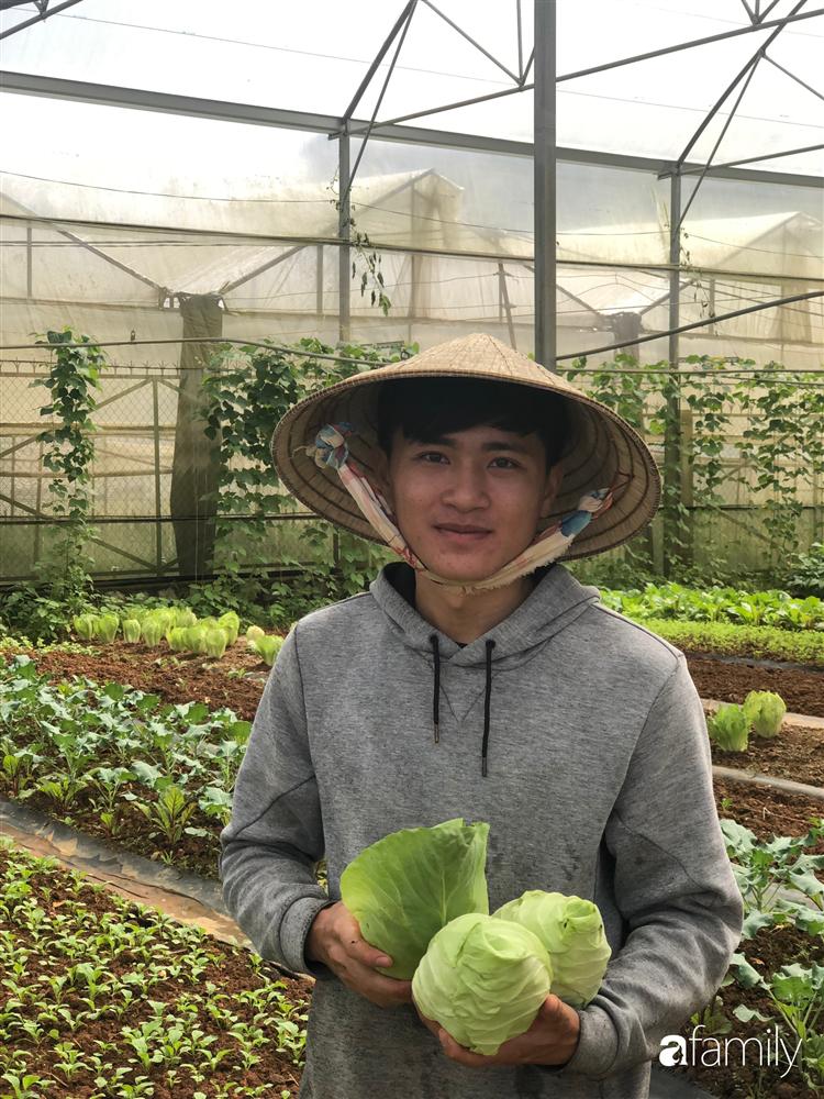 Rời thành phố cùng tương lai trở thành luật sư, chàng trai 9x về Đà Lạt gây dựng giấc mơ làm nông nghiệp sạch-4