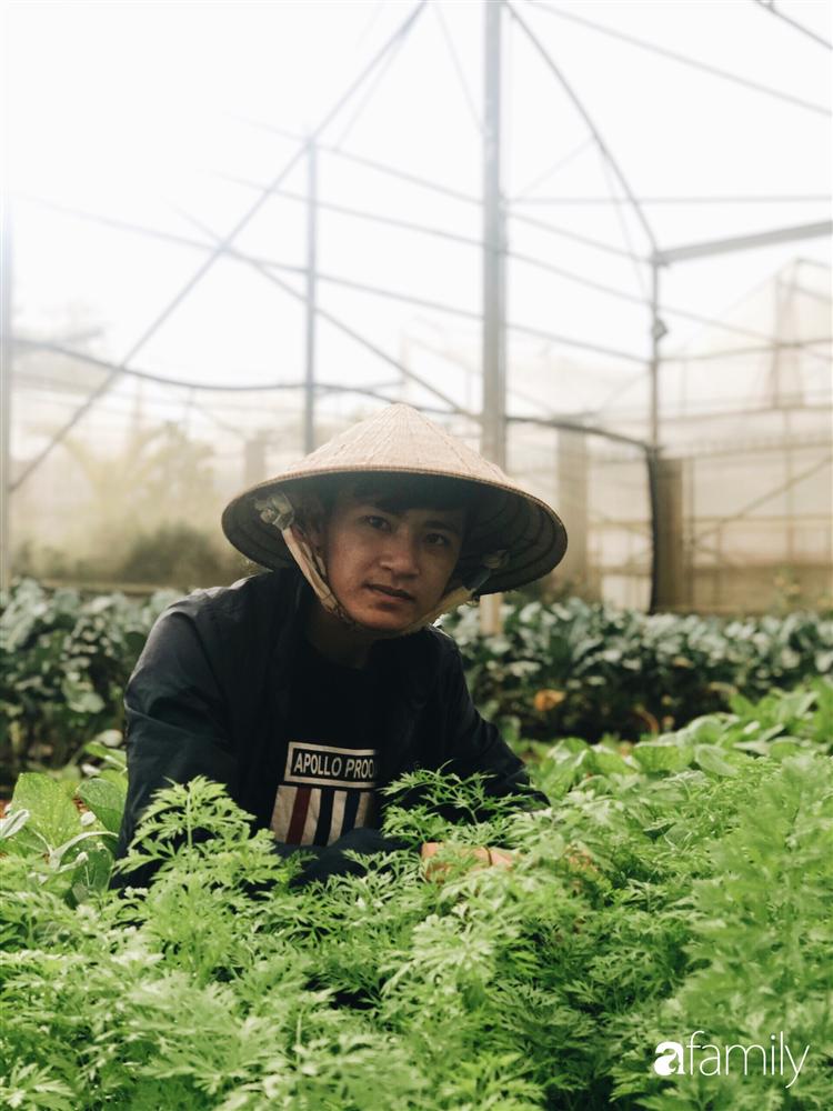 Rời thành phố cùng tương lai trở thành luật sư, chàng trai 9x về Đà Lạt gây dựng giấc mơ làm nông nghiệp sạch-13