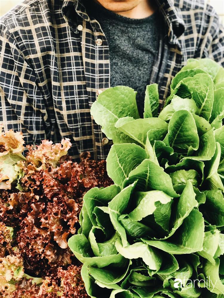 Rời thành phố cùng tương lai trở thành luật sư, chàng trai 9x về Đà Lạt gây dựng giấc mơ làm nông nghiệp sạch-21