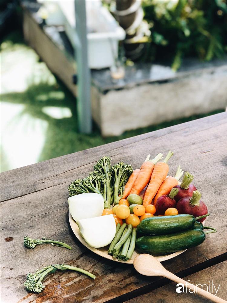 Rời thành phố cùng tương lai trở thành luật sư, chàng trai 9x về Đà Lạt gây dựng giấc mơ làm nông nghiệp sạch-22
